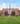 Harvard University помощь в поступлении в США