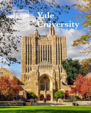 Yale University - помощь в поступлении