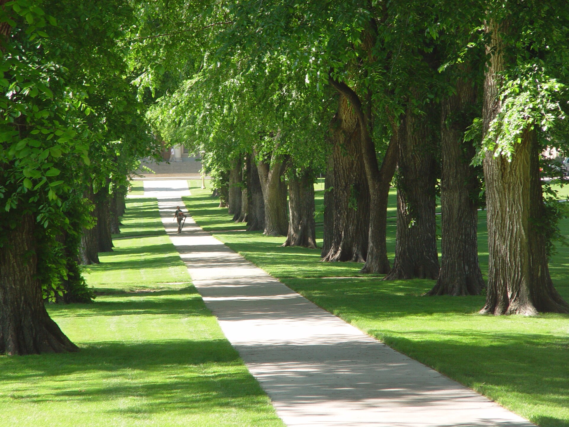 Кампус Colorado State University