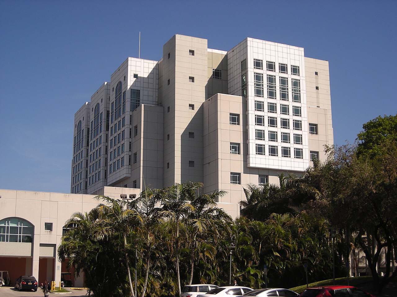 Библиотека Грин в кампусе Florida International University