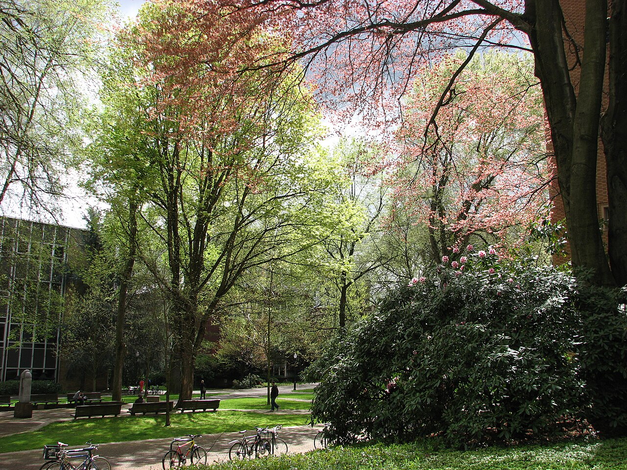 Парк-Блокс весной, Portland State University