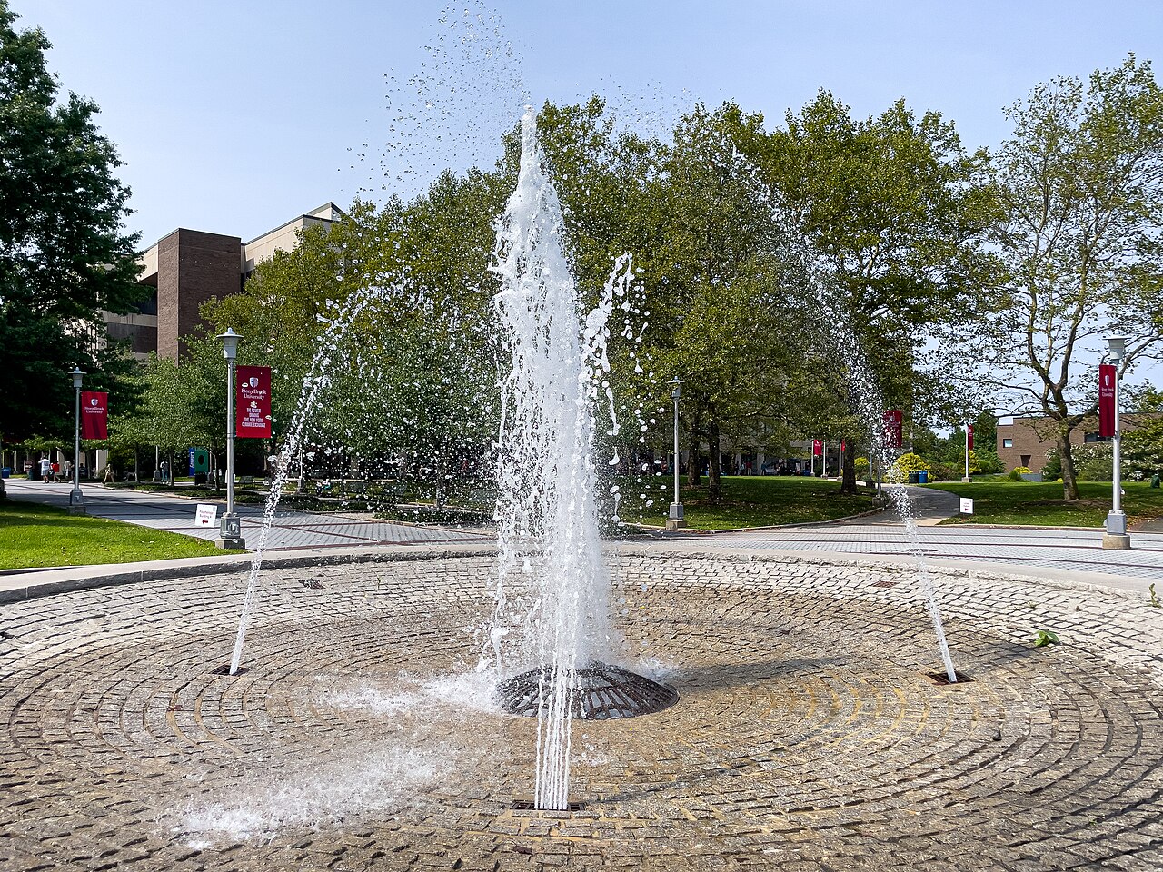 Фонтан в кампусе Stony Brook University