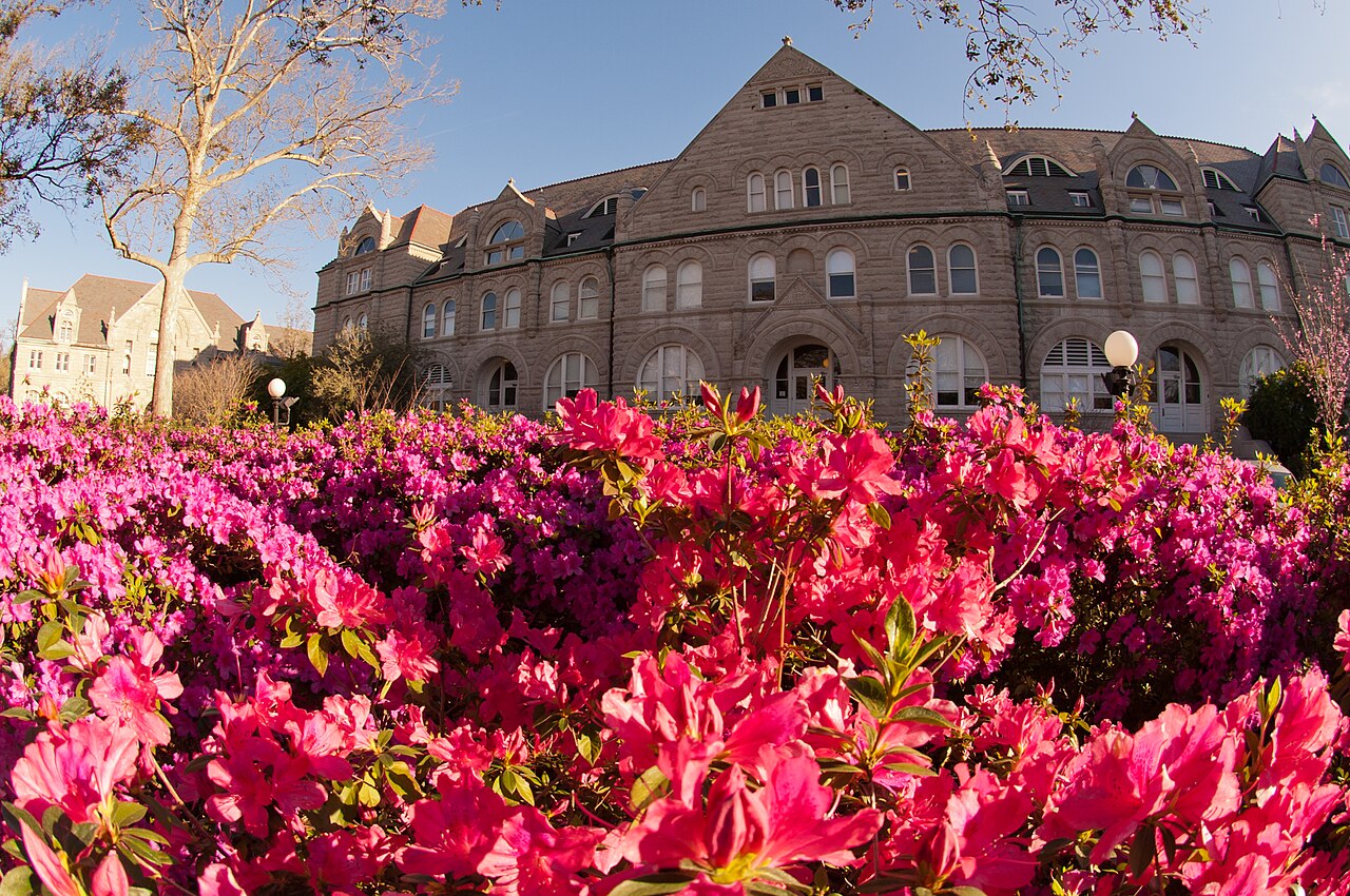 Гибсон-холл и азалии в кампусе Tulane University