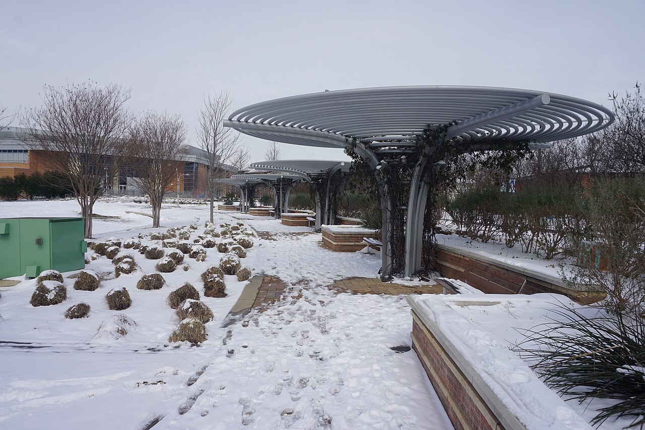 Современный кампус-павильон, UT Arlington