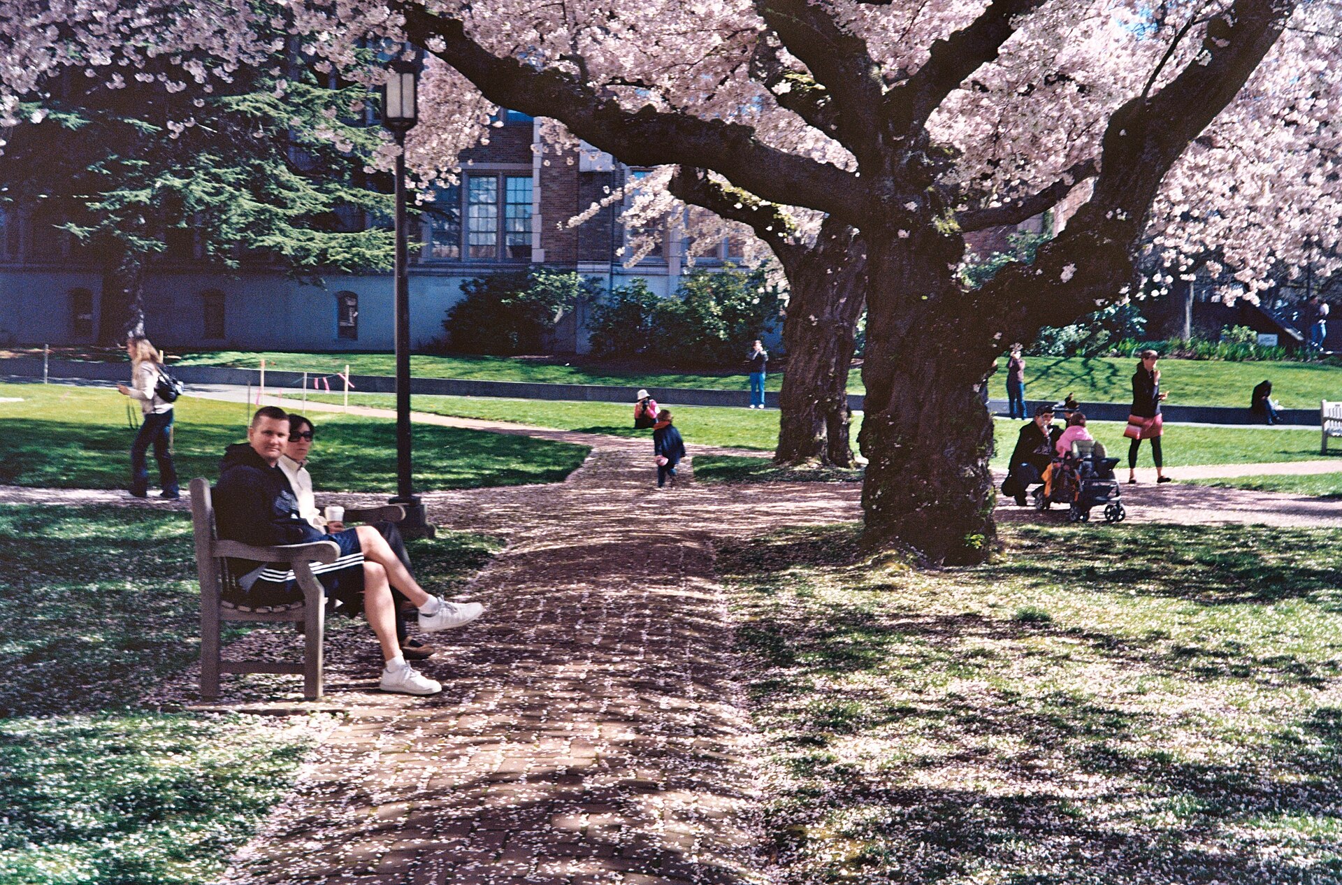 Кампус University of Washington
